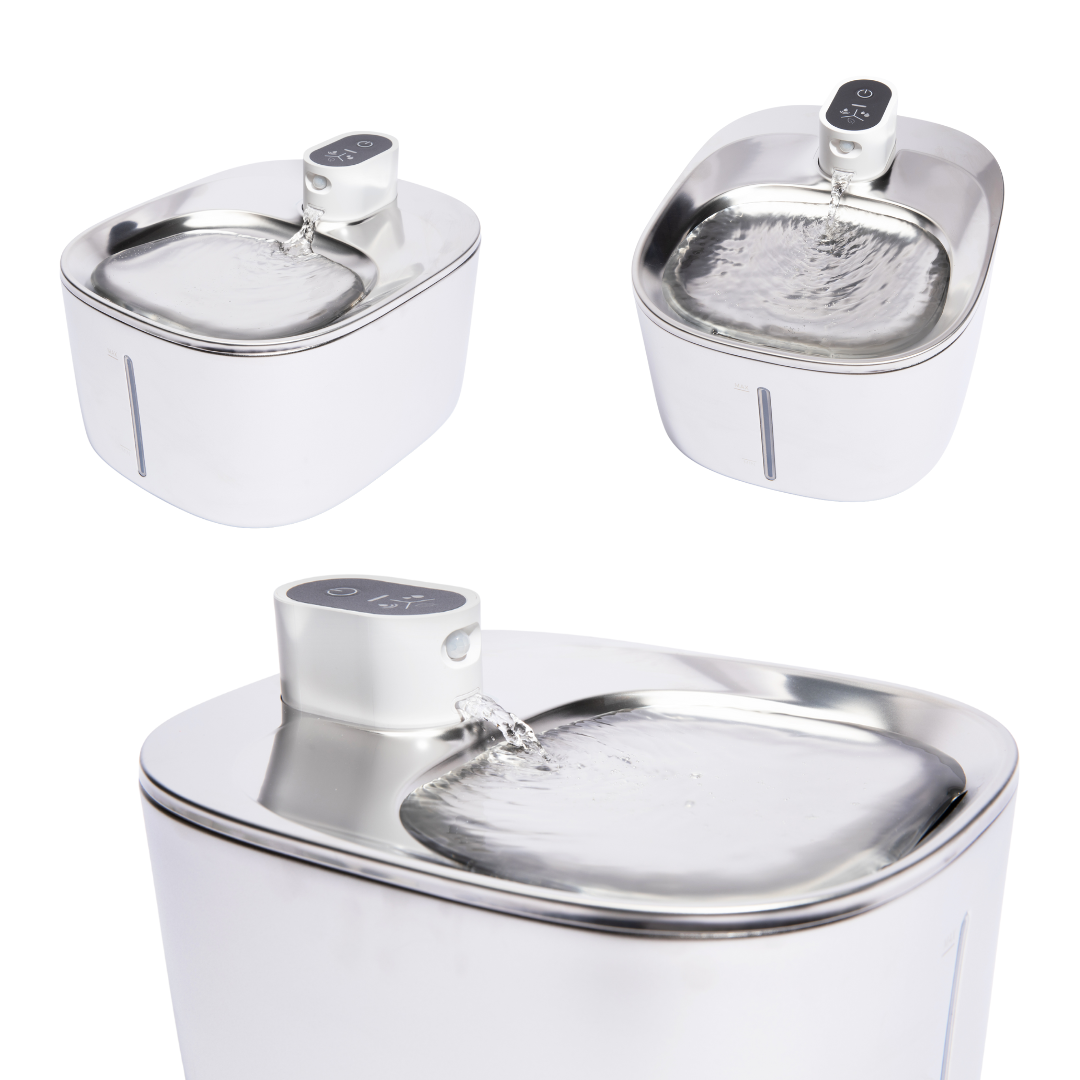 Cat Water Fountain – The Drinking Solution Your Feline Will Use