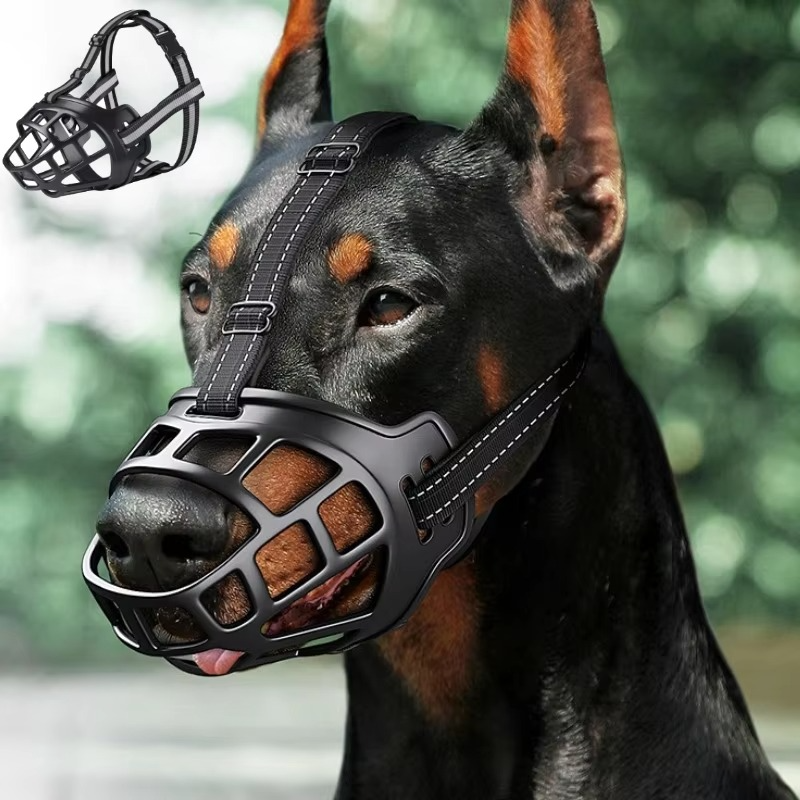 Enjoy Worry-Free Walks with Safety and Comfort