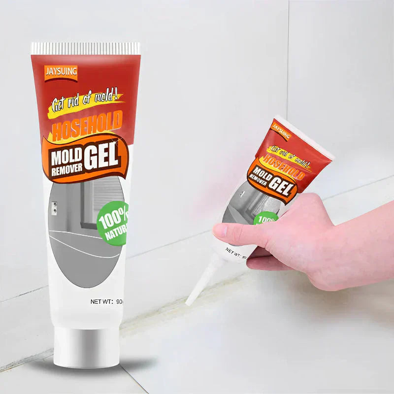 Buy One Get One Free | Mold Removal Solution for a Breathable Home