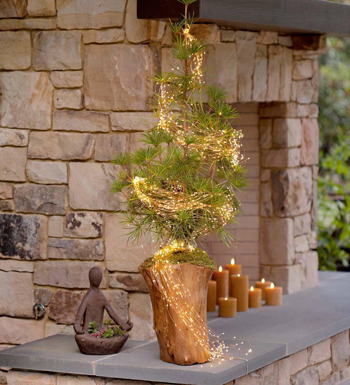 LED Firefly Bunch Lights - If you say i do