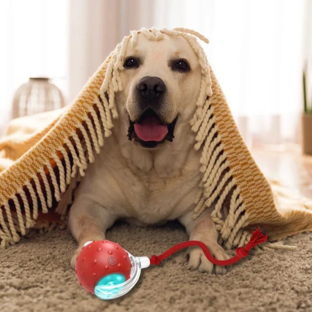 Interactive Rolling Ball Toy for Dogs – Anxiety Relief and Play