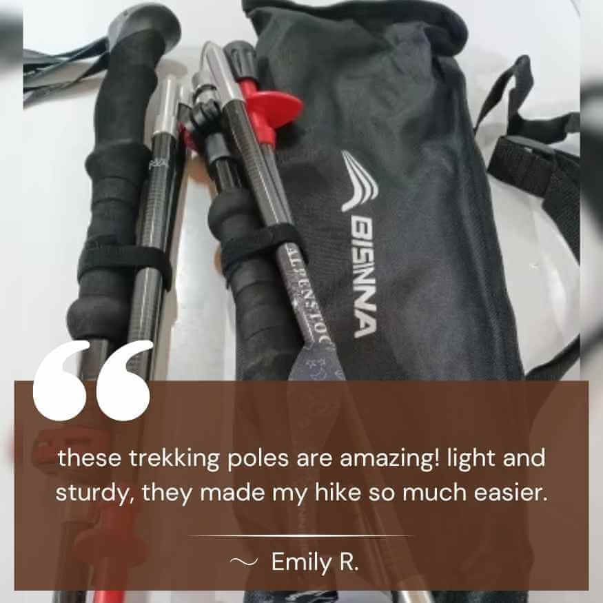 Lightweight Aluminum Hiking Poles for Trekking Adventures