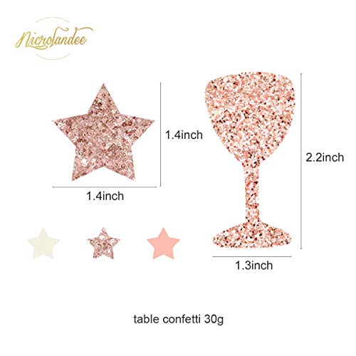 12PCS Rose Gold Tissue Pom Poms Paper Lantern for Wedding Bridal Shower Baby Shower Birthday Party Decorations