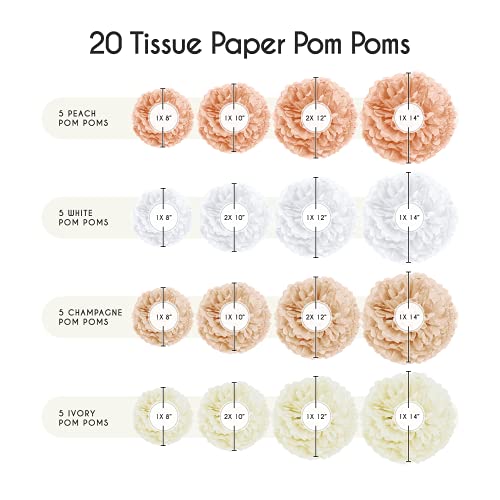 20PCS Tissue Pom Pom Decorations for Birthday and Bridal Shower