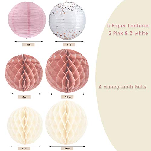 22pcs Hanging Tissue Paper Pom Poms for Birthday Party and Wedding