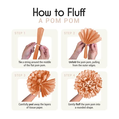 20PCS Tissue Pom Pom Decorations for Birthday and Bridal Shower
