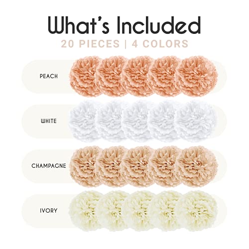 20PCS Tissue Pom Pom Decorations for Birthday and Bridal Shower