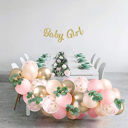 Baby Shower Decorations for Girl with Pink Balloon Arch Garland Kit