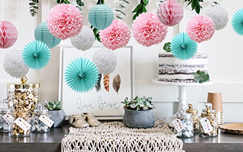 16pcs Pom Poms Flowers Paper Lanterns Hanging Tissue Fan for Bridal Shower