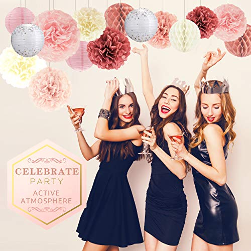 22pcs Hanging Tissue Paper Pom Poms for Birthday Party and Wedding