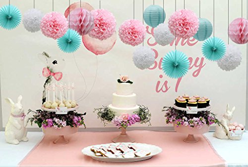 16pcs Pom Poms Flowers Paper Lanterns Hanging Tissue Fan for Bridal Shower