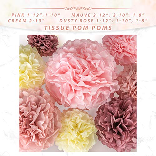 22pcs Hanging Tissue Paper Pom Poms for Birthday Party and Wedding
