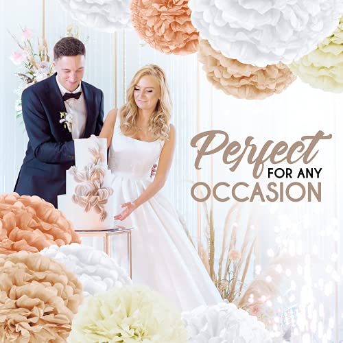 20PCS Tissue Pom Pom Decorations for Birthday and Bridal Shower
