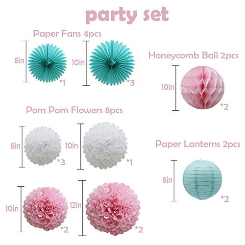 16pcs Pom Poms Flowers Paper Lanterns Hanging Tissue Fan for Bridal Shower