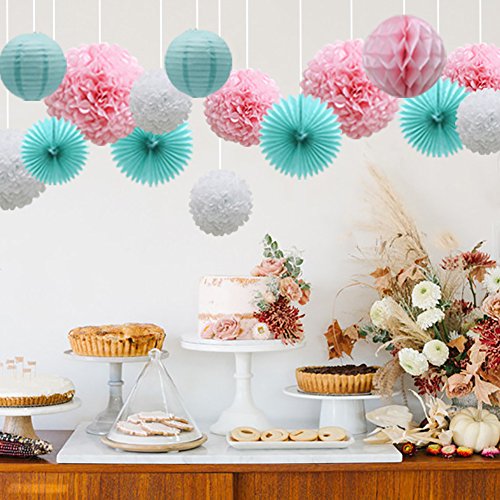 16pcs Pom Poms Flowers Paper Lanterns Hanging Tissue Fan for Bridal Shower