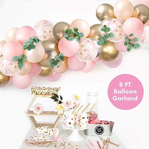 Baby Shower Decorations for Girl with Pink Balloon Arch Garland Kit