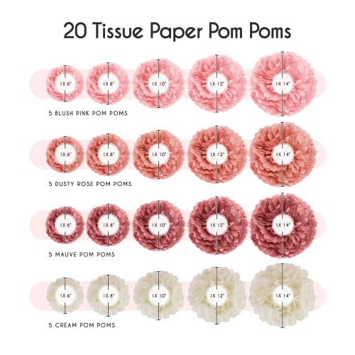 20pcs Paper Pom Poms Party Kit for Birthday Bridal Shower Party Decorations