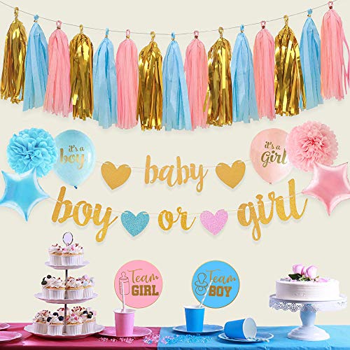 Gender Reveal Party Decorations - Glitter Letters Baby Boy or Girl Banners