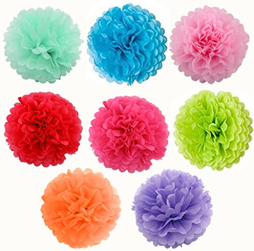 Birthday Decorations Banner with Tissue Pom Poms for Rainbow Birthday Party