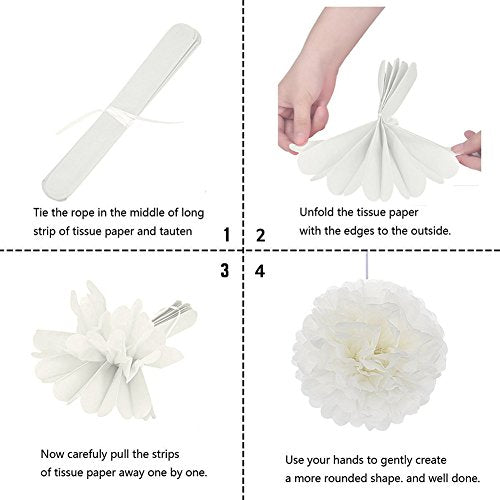 16pcs Pom Poms Flowers Paper Lanterns Hanging Tissue Fan for Bridal Shower