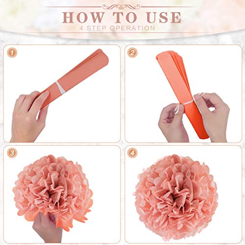 22pcs Hanging Tissue Paper Pom Poms for Birthday Party and Wedding