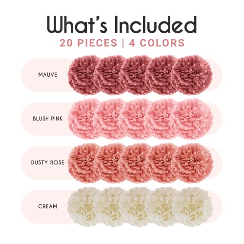 20pcs Paper Pom Poms Party Kit for Birthday Bridal Shower Party Decorations