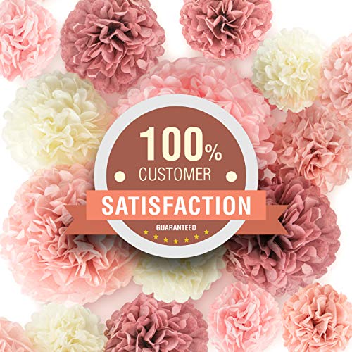 22pcs Hanging Tissue Paper Pom Poms for Birthday Party and Wedding