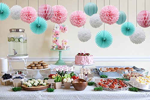 16pcs Pom Poms Flowers Paper Lanterns Hanging Tissue Fan for Bridal Shower