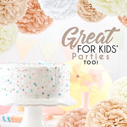 20PCS Tissue Pom Pom Decorations for Birthday and Bridal Shower