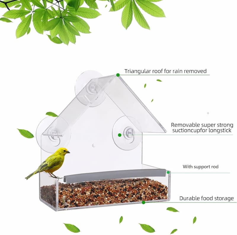 FeatherVibe — Clear Window Bird Feeder with Strong Suction Mount