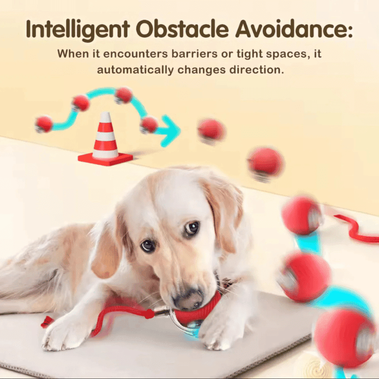 HunterOrb — Interactive Rolling Pet Toy Ball with Motion Activation