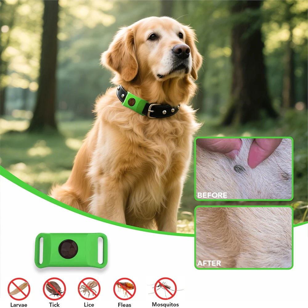 EverGuard™ Natural Protection Pendant — Give Your Pet a Year of Worry-Free, Chemical-Free Freedom