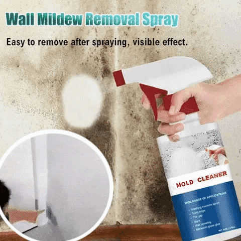 Mold Remover – Finally Free from Hazardous Mold