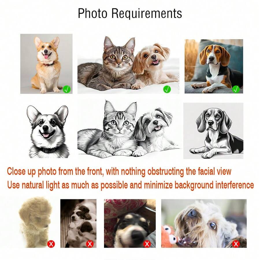//img.ltwebstatic.com/v4/j/spmp/2025/05/30/12/1748592008987d09da876171eb0a0070d00c7cc3ba_square_thumbnail_900x.webp