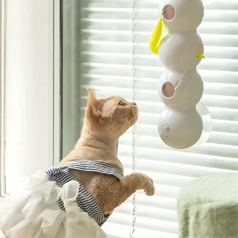 Purrworm Interactive Cat Toy with Worm Motion for Play