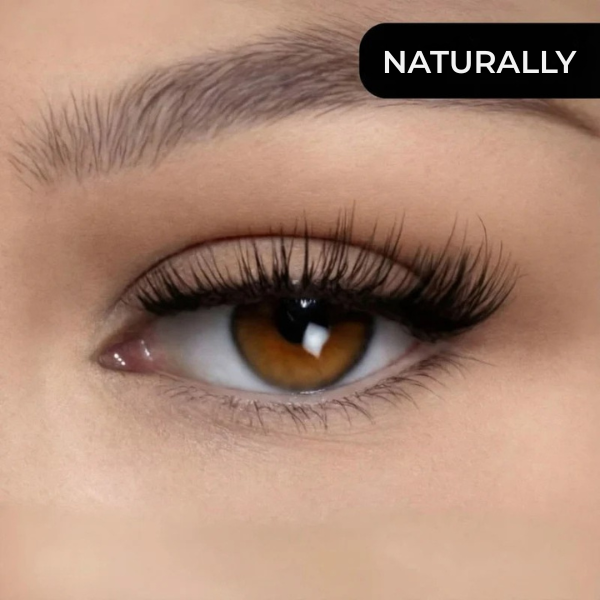 Magnetic Eyelashes for Perfect Lashes in Seconds, No Glue Needed