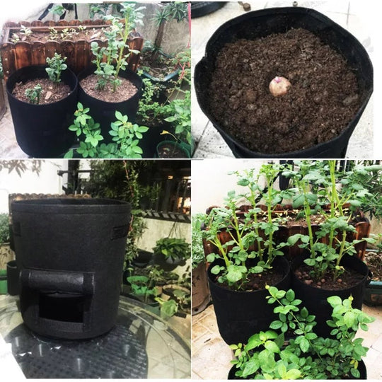 Grow Bag | Permeable Nonwoven Material | Harvest Flap with Velcro Closure | HarvestBag