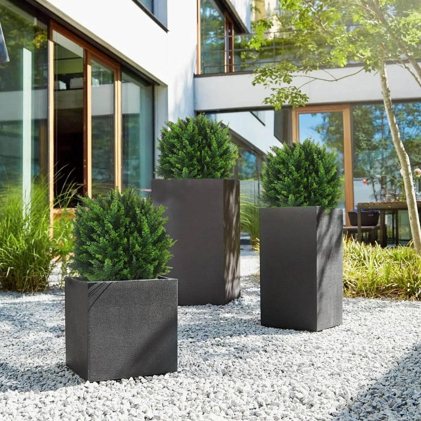 EverGreen Cedar Tree – Outdoor Decorative Potted Plant