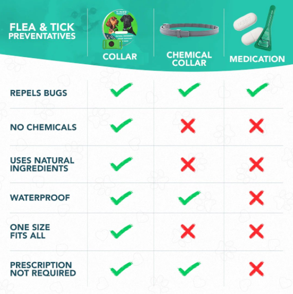 Last Day 60% OFF-12 Months Flea and Tick Free