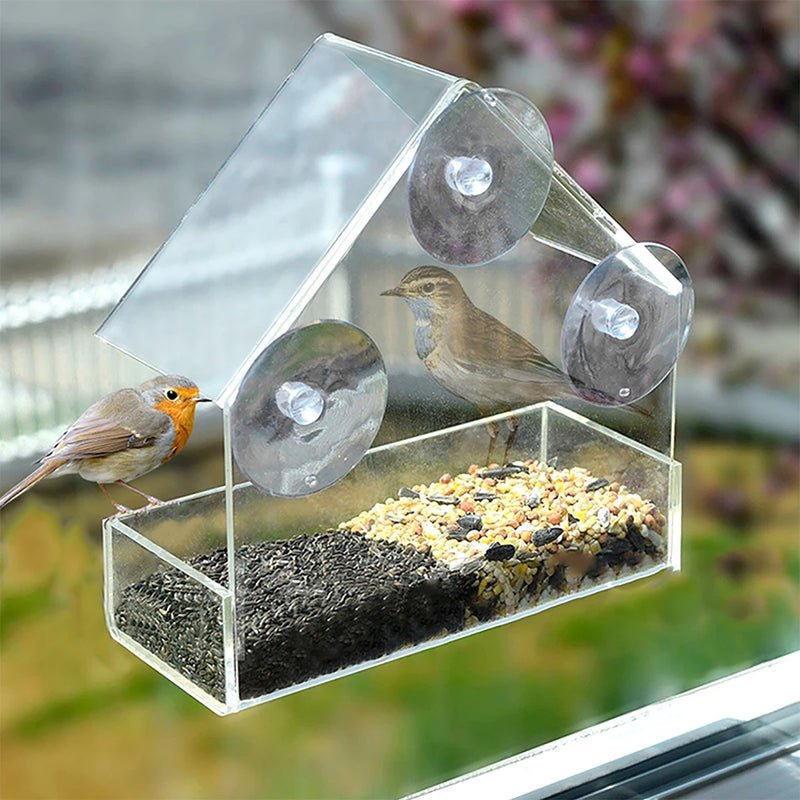 FeatherVibe — Clear Window Bird Feeder with Strong Suction Mount
