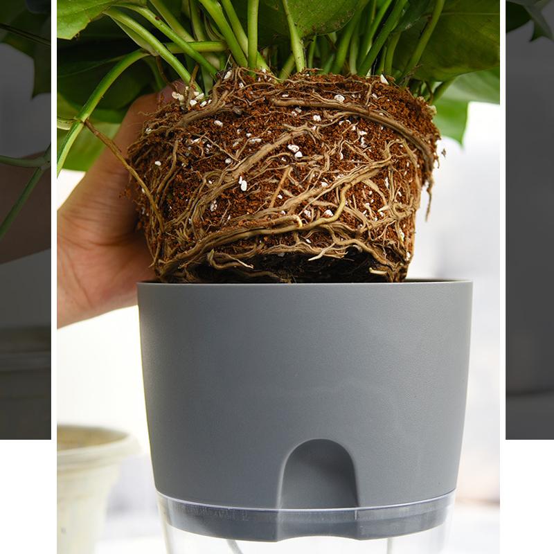 Flower Planter | Self-Irrigating | Clean Watering System | AquaWick