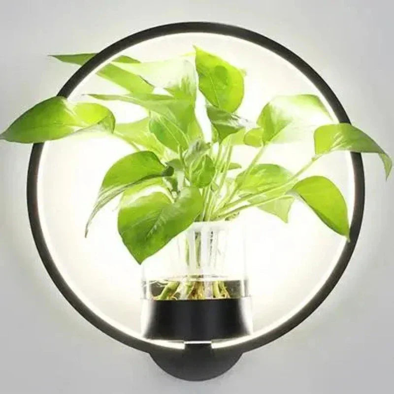 LED Botanical Wall Light with Glass Vase – Oval & Round