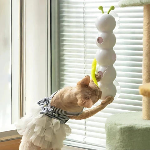 Purrworm Interactive Cat Toy with Worm Motion for Play