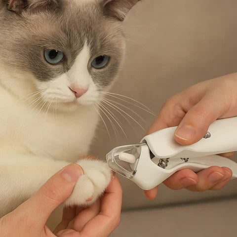 Gentle 2-in-1 Pet Nail Clipper and Grinder