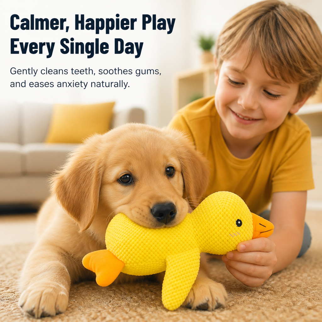 ChewCalm — Soothe Their Gums, Spark Their Joy, and Calm Their Mind Every Day