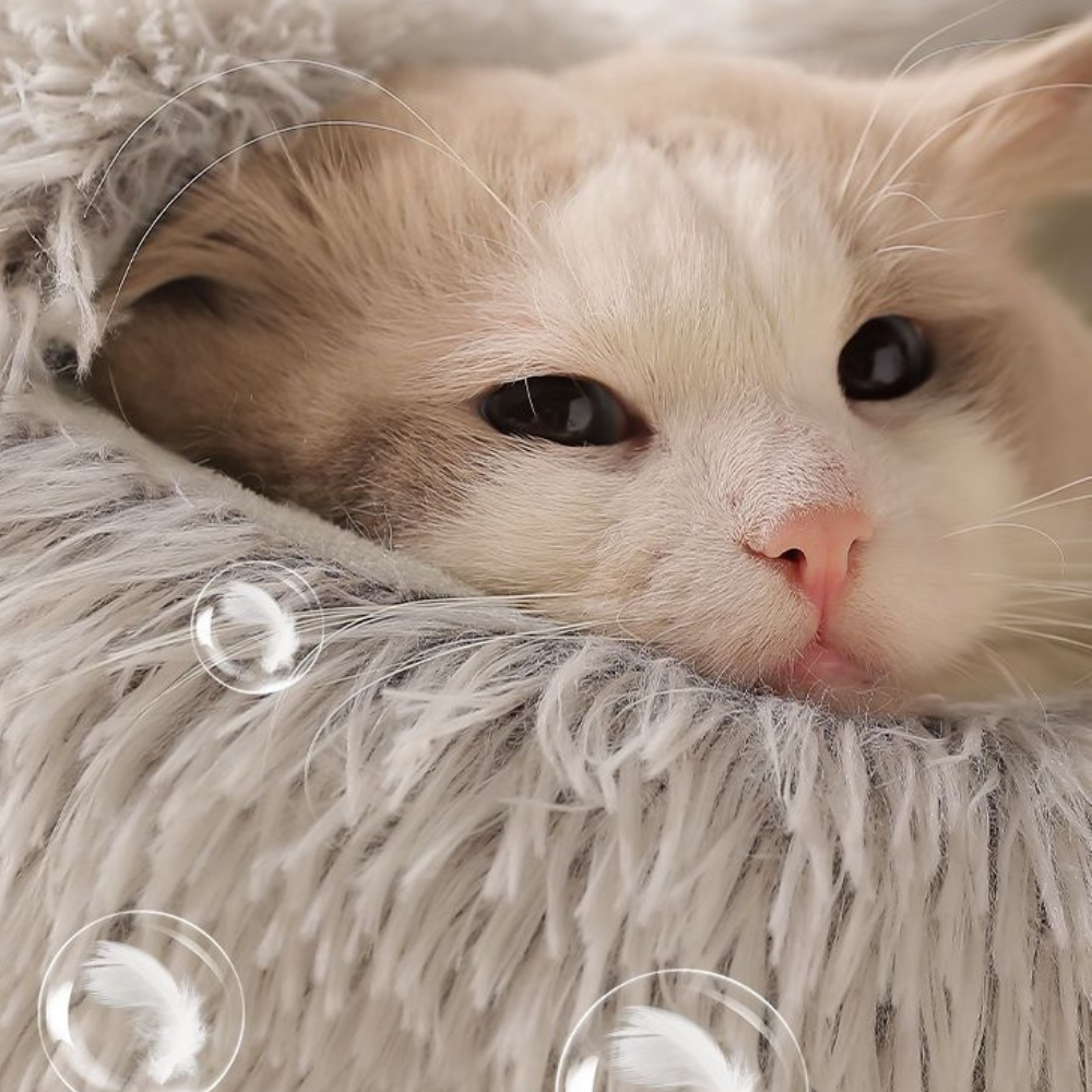 Cloofie™ – Plush Cave Bed for Cats (40% Off)