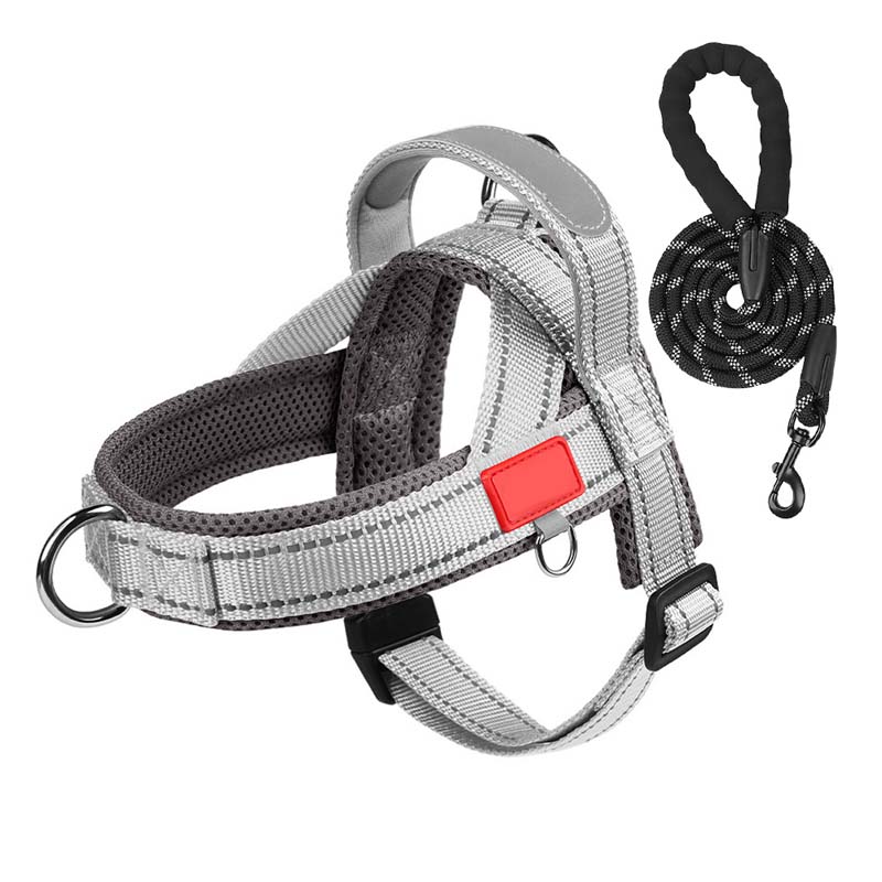Comfort Harness for Dogs – Easy Wear and Unrestricted Freedom
