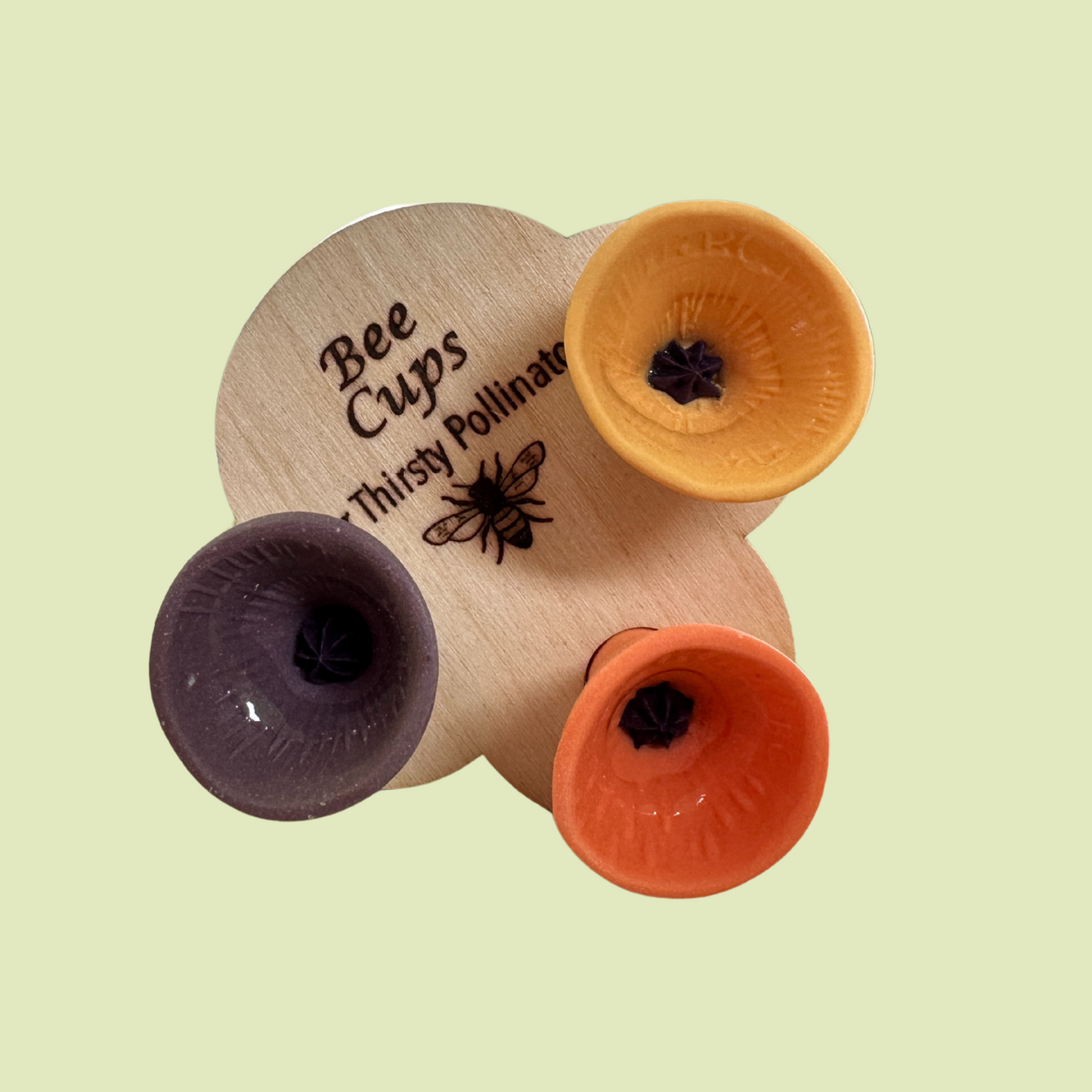 Bee Cups for a Vibrant Garden – Attract Pollinators and Enjoy Mosquito-Free Freshness