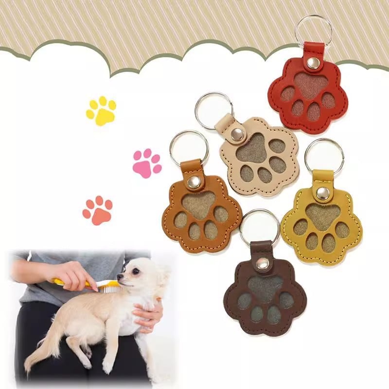 Buy One Get One Free | MemoriaPaw – A Lasting Memory Keepsake