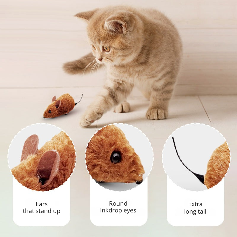 Furrace™ — Unleash Your Cat’s Wild Instincts for Nonstop Thrilling Play